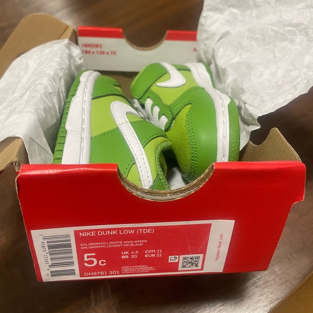 TD Nike Dunk Low 5c